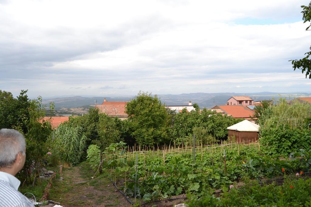 Su Cantaru Guesthouse Villanova Monteleone Экстерьер фото